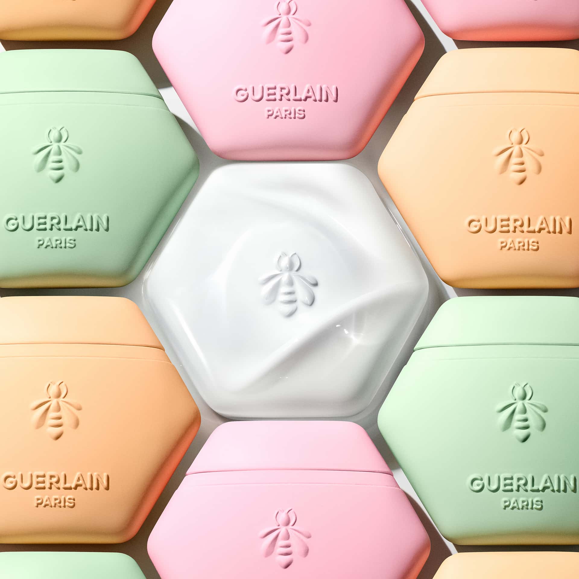 Vue 6