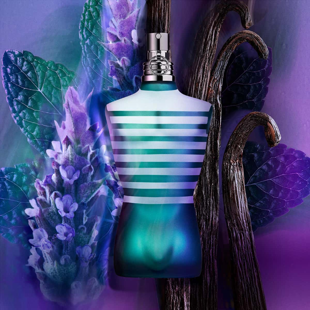 Vue 3