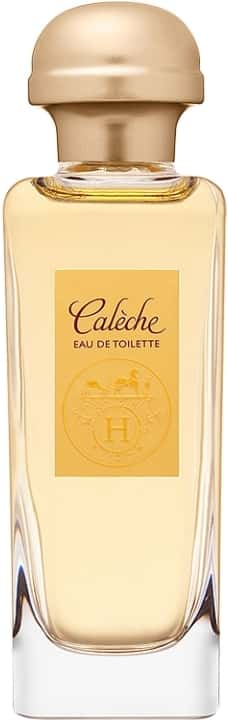 Vaporisateur 100 ml