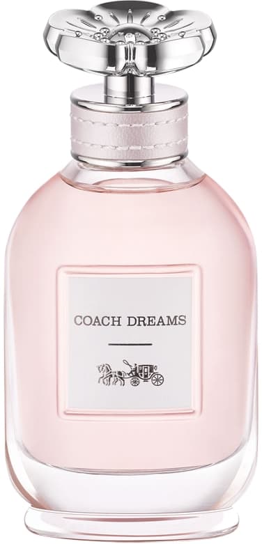 Coach Dreams