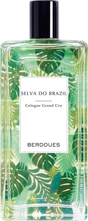 Selva Do Brazil