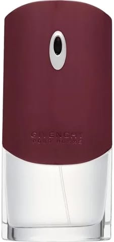 Givenchy Pour Homme